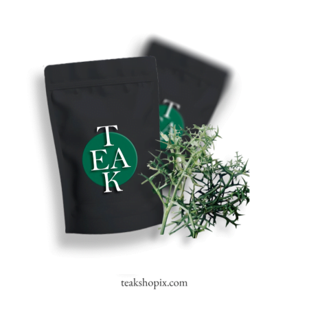 Echinophora-sibthorpiana