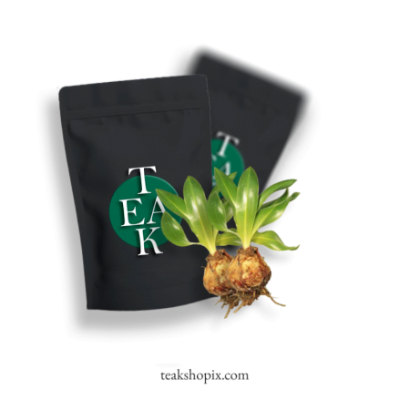 Gypsophila-struthium